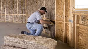 Best Crawl Space Insulation  in Youngstown, OH